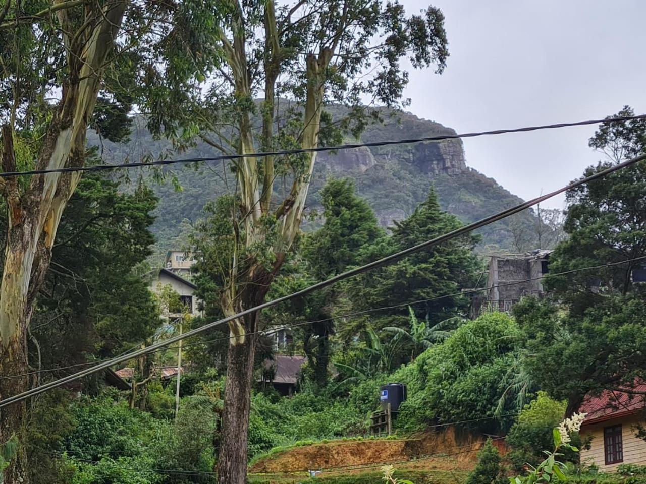 Sasru Holiday Home Nuwara Eliya Luaran gambar