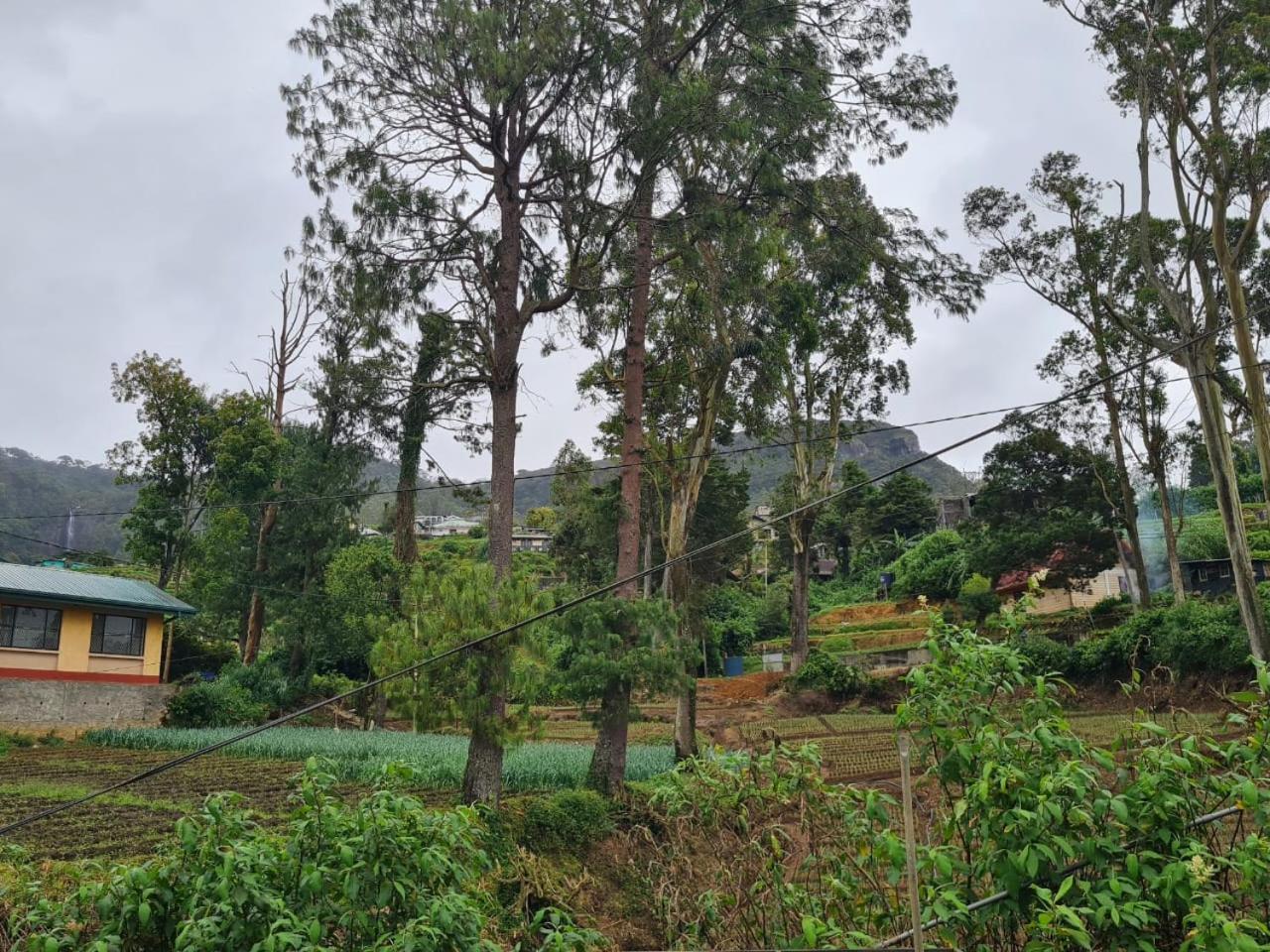 Sasru Holiday Home Nuwara Eliya Luaran gambar